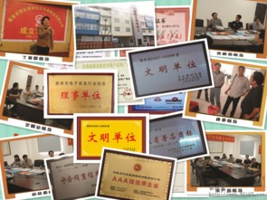 電工電料、廚房電器、衛(wèi)浴潔具一站購(gòu)齊，廠家投資你做老板